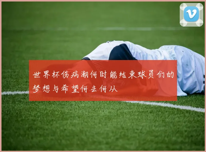 世界杯伤病潮何时能结束球员们的梦想与希望何去何从
