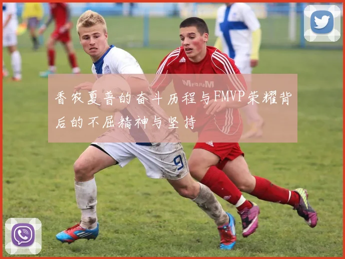 香农夏普的奋斗历程与FMVP荣耀背后的不屈精神与坚持
