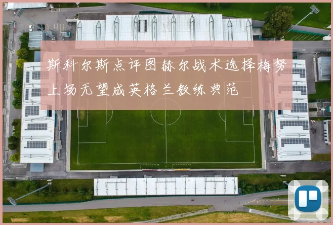 斯科尔斯点评图赫尔战术选择梅努上场无望成英格兰教练典范